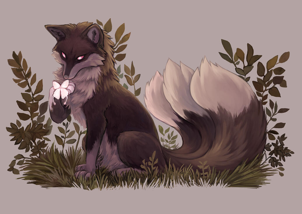 Wyplioflee Fox Wyplioflee Fox